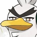 eyebrows