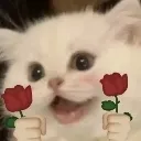 catflowers