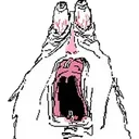 AHHHHHHHHHH