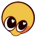 cute cute
