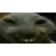 xdd