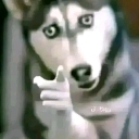 MS_TeDije Discord emoji