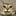 :cat: