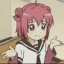 shrug