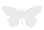 01_butterflywhite