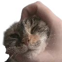 sandyyoink sandyyoink