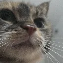 useeingthis useeingthis