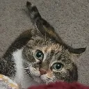 sandypounce