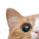 :c1: