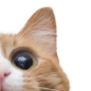 :c2: