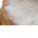 :c5: