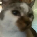 sideeye