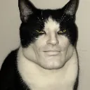 catthew