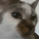 sideeye