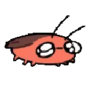 kawaiiroach