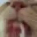 1139265186948194344
