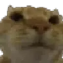 1232079804774486116