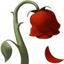 WiltedRose