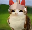 swordmeowl