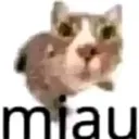 letmiau