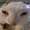 letguh