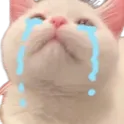 sadness
