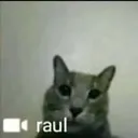 raul