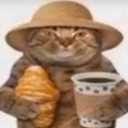 HVCCatQuaso Discord emoji