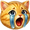 catsob4k