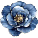 bluerose