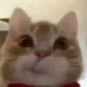 __