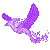 Purple_Phoenix