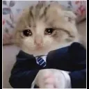 Sad_Cat
