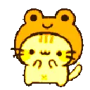 798294rainbowfroggykitty