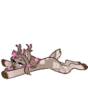 DaisyFlop