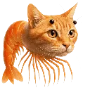 trippitroppi