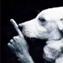 emoji_49 custom emote from 𝐆𝐨𝐭𝐡𝐚𝐦