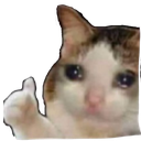 sadcat Discord sticker from 🐾 Lisia Nora 🐾