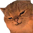 catsmirk Discord Emoji - 🐾 Lisia Nora 🐾