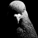 emoji_133 Discord sticker - Invictus