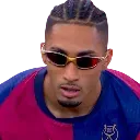 raphinhaglasses
