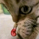 chetwt Discord Emoji from Lemniscate Network