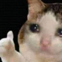 Cat with teary eyes giving a thumbs up gesture.