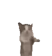 cat_happy_thepookies