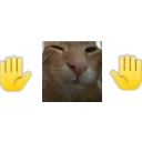 mybuhd mybuhd