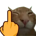 FYOUbuh FYOUbuh
