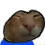buhgi
