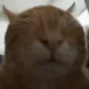 buhlind