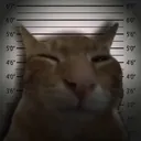 gotcaughtbuhing