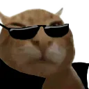 buhez buhez